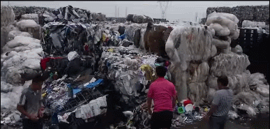 why china is so eager to sort trash?