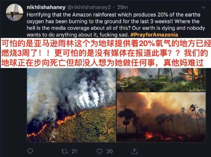 heartbreak! amazonia burning for 3 weeks caused global concern!