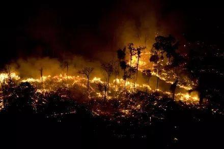 heartbreak! amazonia burning for 3 weeks caused global concern!